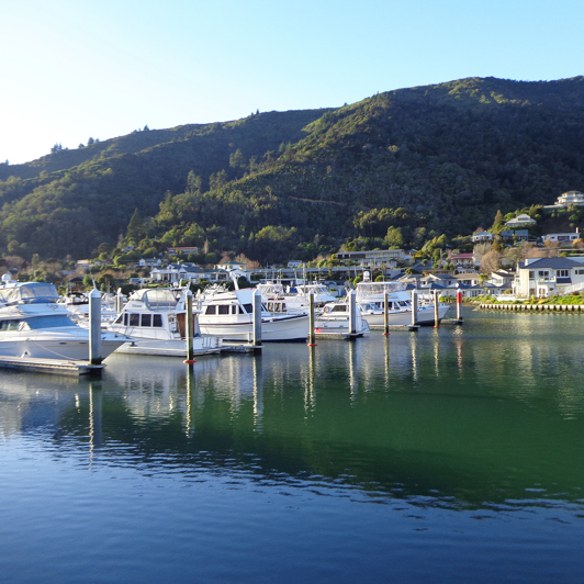new zealand - marlborough sounds_picton_02