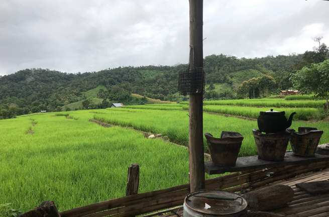 Chiang Khong Rismarker 1239564829