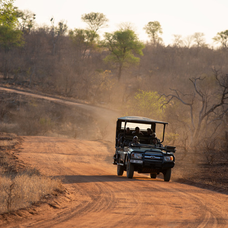 Sydafrika 2025 Mikkel 0617 Nyati jeep