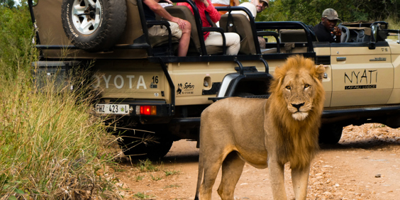 Nyati Safari Lodge 10