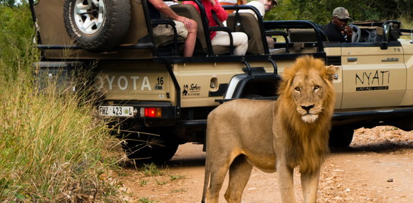 Nyati Safari Lodge 10