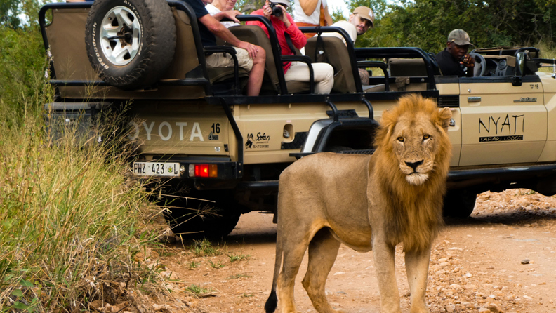 Nyati Safari Lodge 10