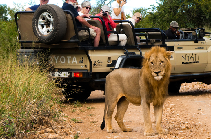 Nyati Safari Lodge 10