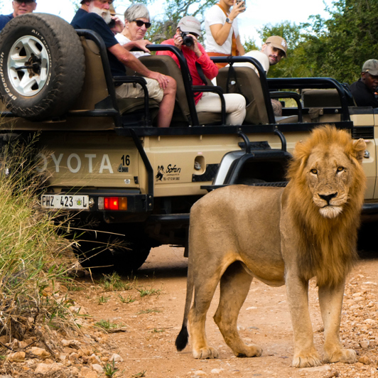 Nyati Safari Lodge 10