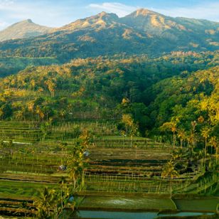 Tetebatu og Mt. Rinjani, Lombok