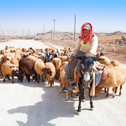 jordan - jordan_befolkning_faarehyrde_01
