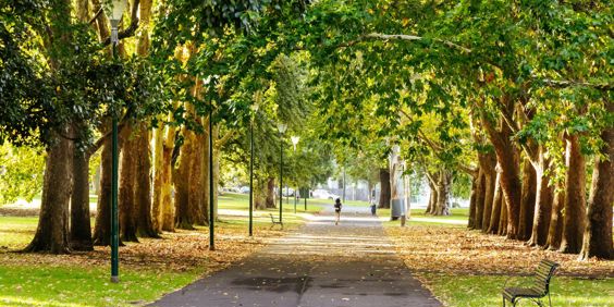 Australien Melbourne Carlton Gardens Solrig Efterårsdag
