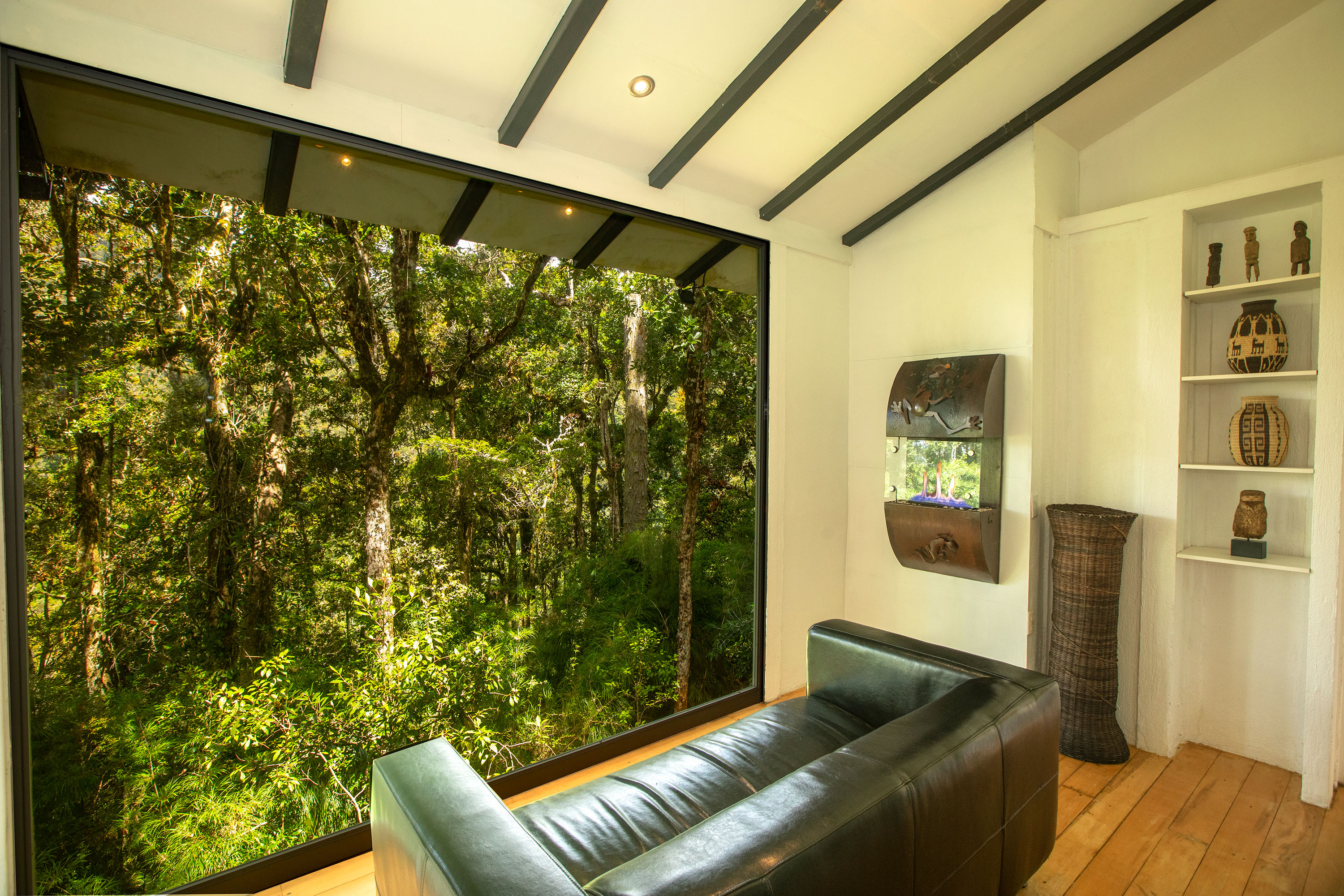 Sofa Rainforest View