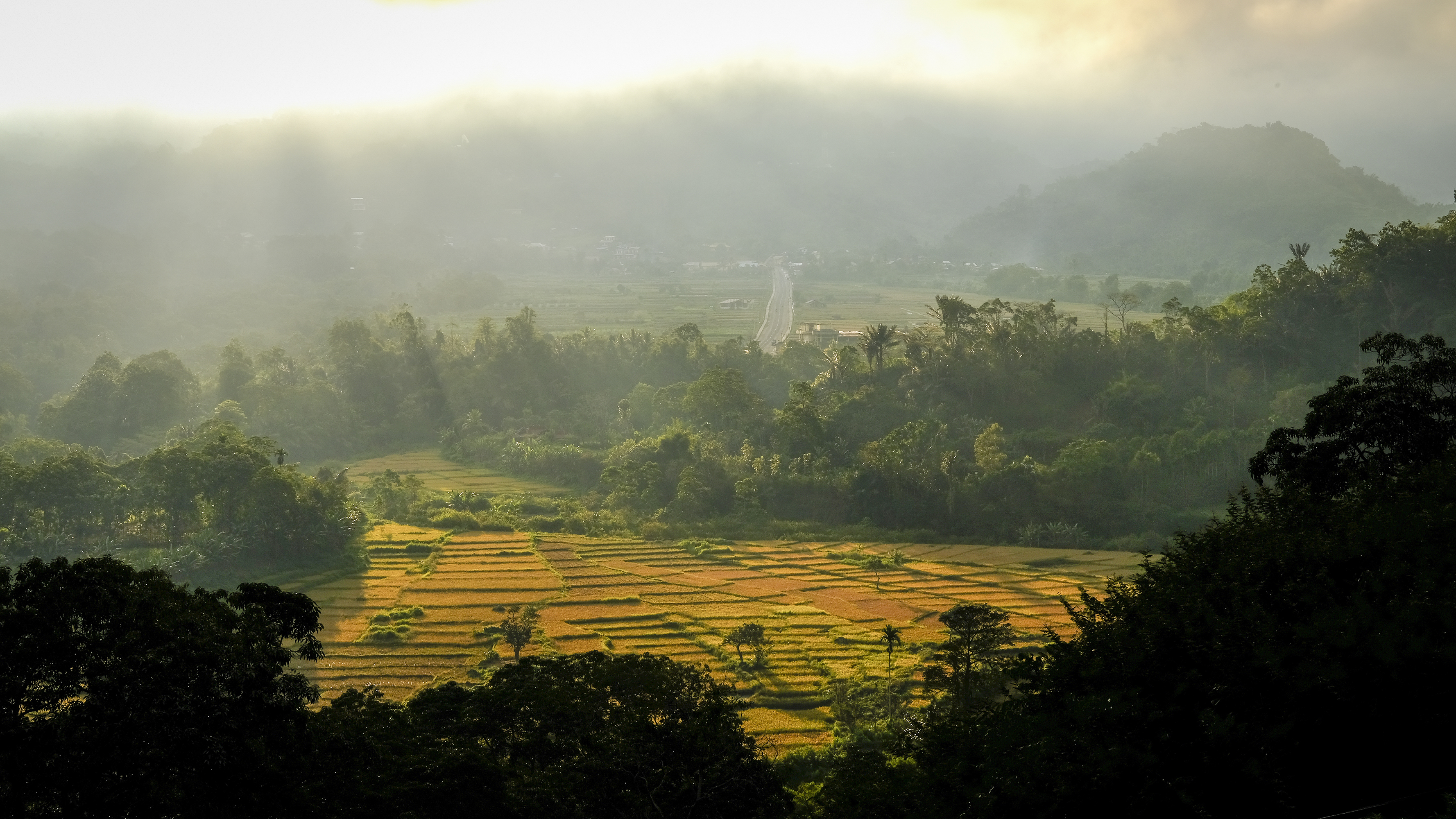 Flores Moni Village Rismark Gi 1160509758