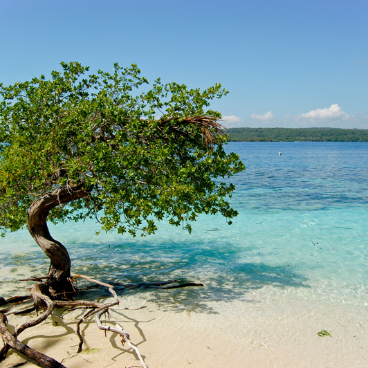 cuba - cayo_strand_03
