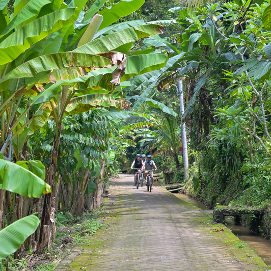 Udflugt Cykel Mad 03