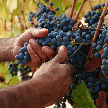 chile - valparaiso_vinmark_03_hf