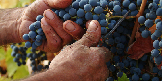 chile - valparaiso_vinmark_03_hf