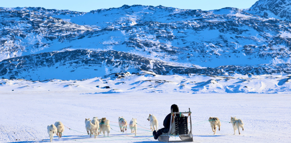 Ilulissat Hundeslaede 2449353235