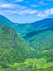 Thaton Doi Pha Hom Pok National Park Landskab 01
