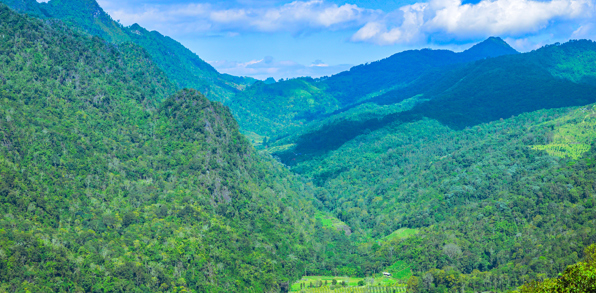 Thaton Doi Pha Hom Pok National Park Landskab 01