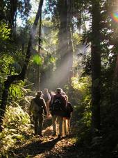 argentina - yucatinga lodge_natur_03