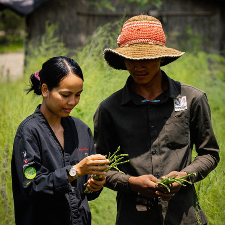 Farm House Smiling Gecko Deluxe Khmer Bungalow Farm To Table