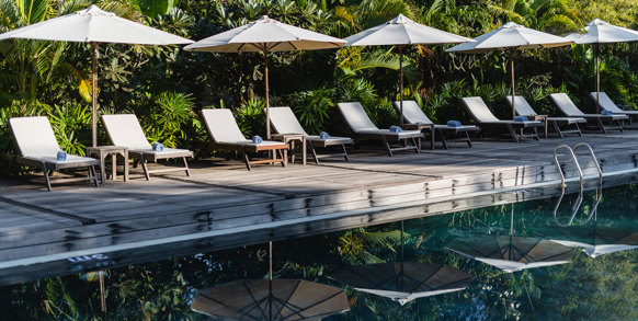 Farm House Smiling Gecko