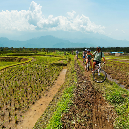 bali - Ubud_cykeltur_07_blaa himmel