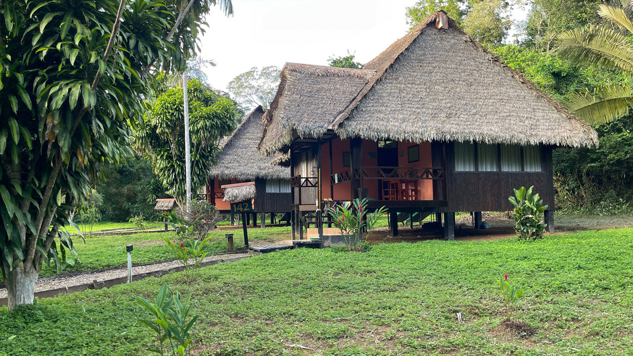 Tambopata Hytter
