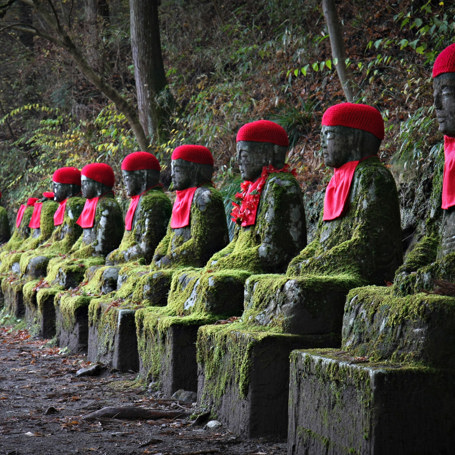 Nikko01
