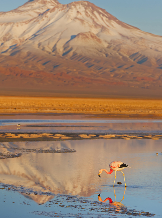 chile - chile_maanedalen_atacama_04_hf