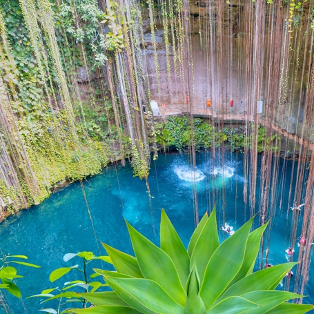 Mexicansk Cenote 2