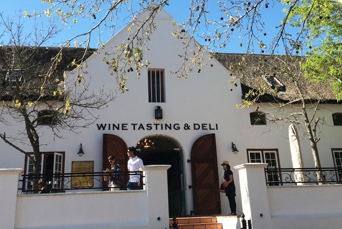 sydafrika - stellenbosch_vin_01