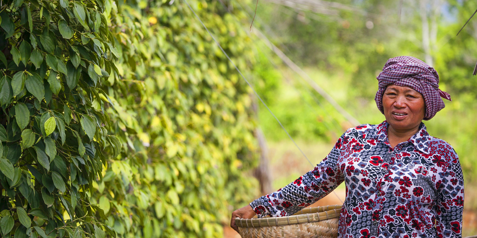 cambodia - cambodia_peber_kvinde_01