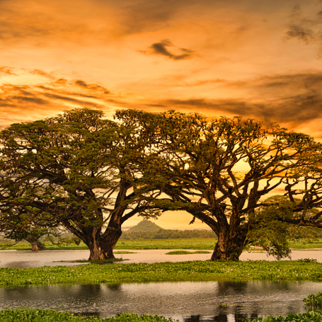 Gal Oya Valley 03 1681239217