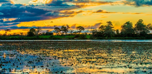 brasilien - pantanal_vaadland_solnedgang_02