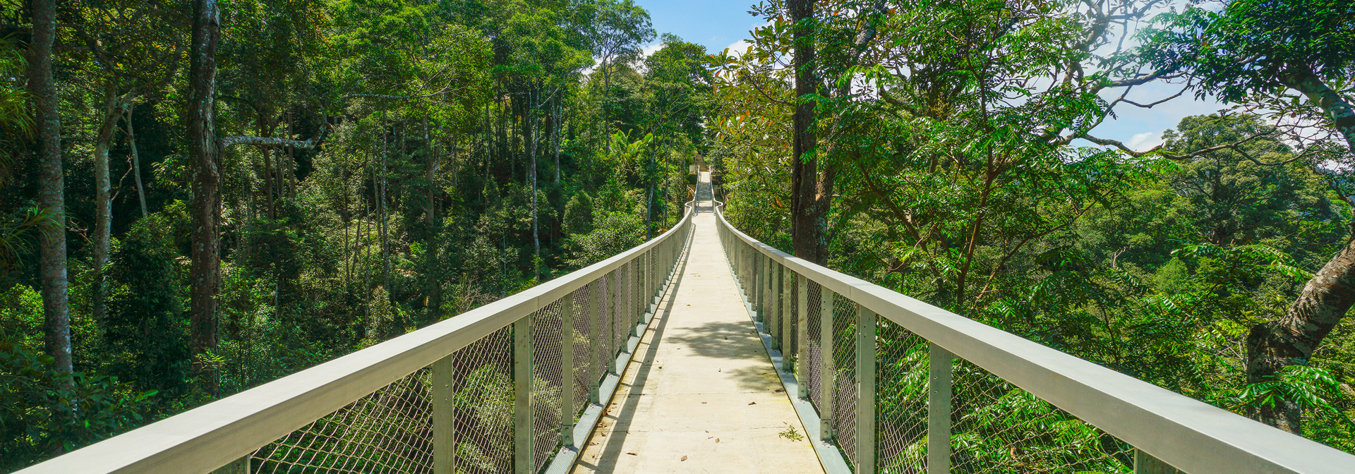 malaysia - penang_habitat_01