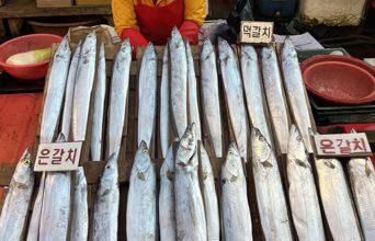 ... store fiskemarkeder...