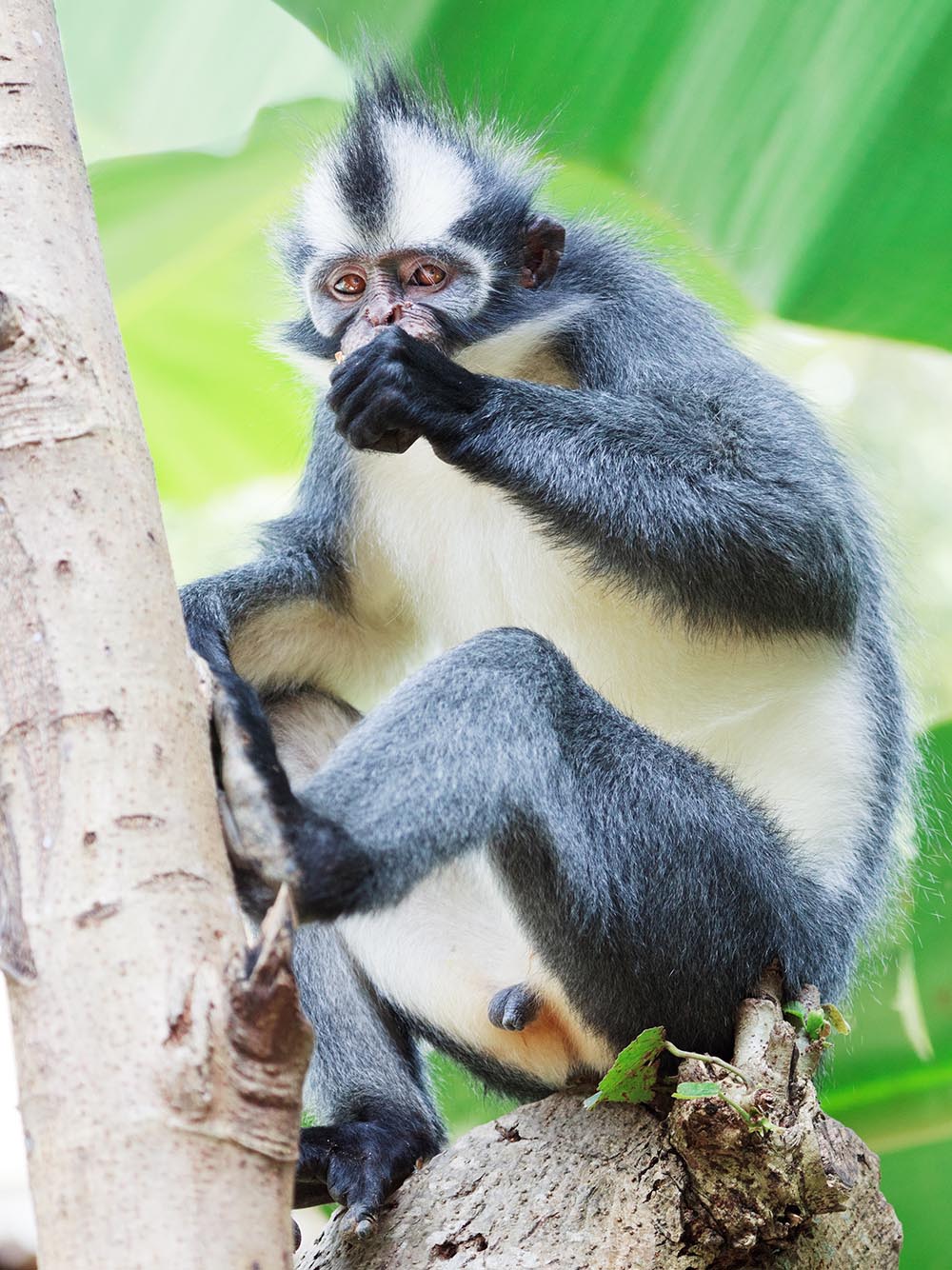 Indonesien - sumatra_abe_01_hf