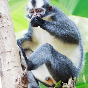 Indonesien - sumatra_abe_01_hf