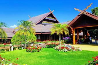 Doi Mae Salong & Doi Tung 4