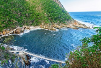 sydafrika - tsitsikamma national park_garden route_02