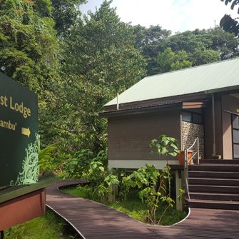 Rainforest Lodge