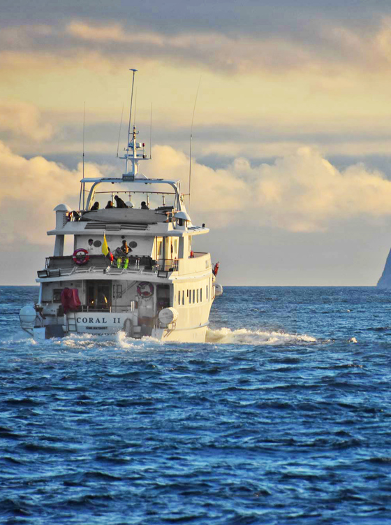 galapagos coral 2_01