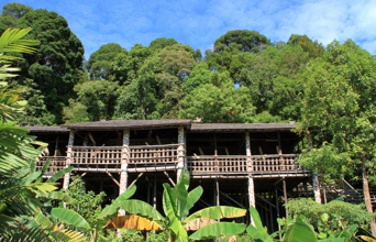 ...hvor I besøger Iban-folket, som bor i langhuse ved floden
