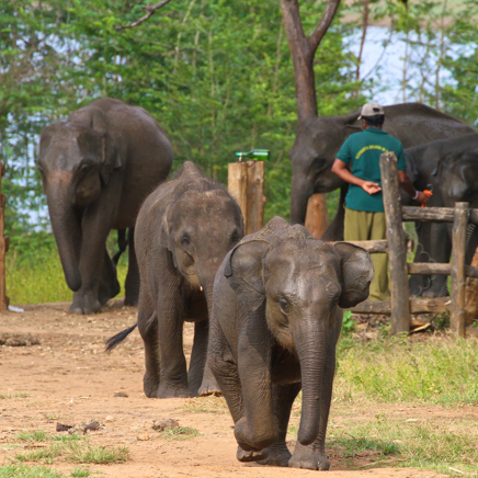 Hambantota, Sri Lanka.