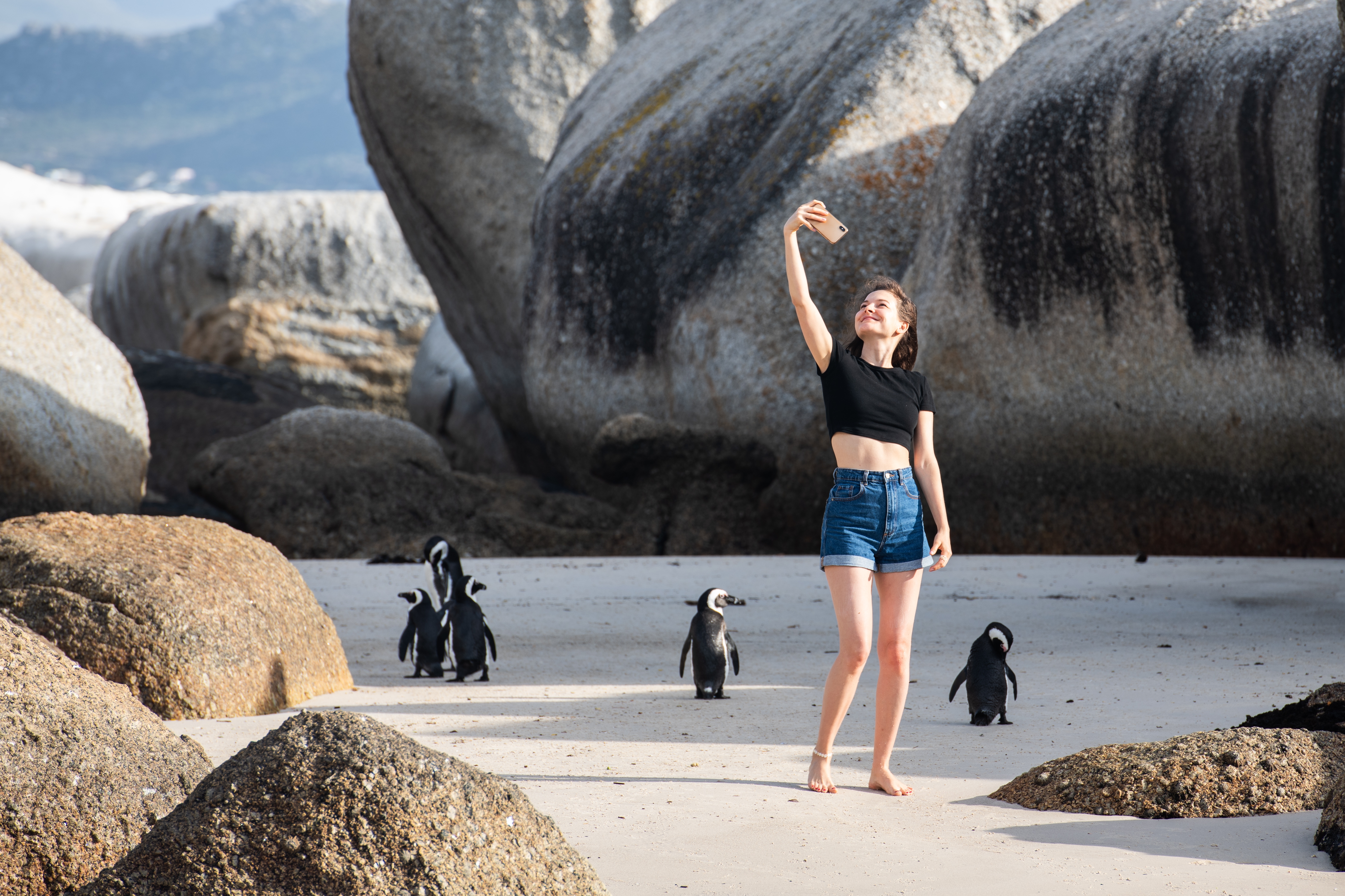 Sydafrika Kaphalvøen Boulders Beach Shutterstock 2637989113
