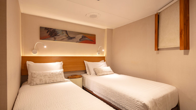 Standard Plus HD1315