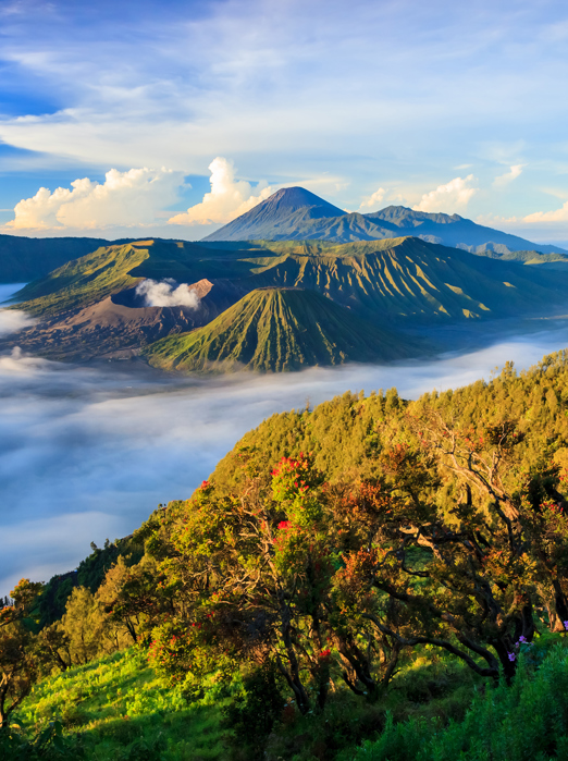 Java Mount Bromo As 56193485