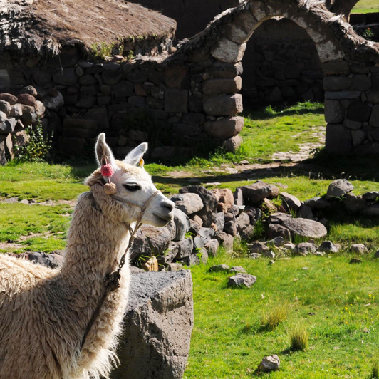 peru - sillustani_indianer bopael_07