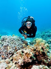 dansk vestindien - dansk vesindien_dykning_02_HF