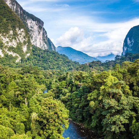 Mulu National Park Regnskov 1804571440