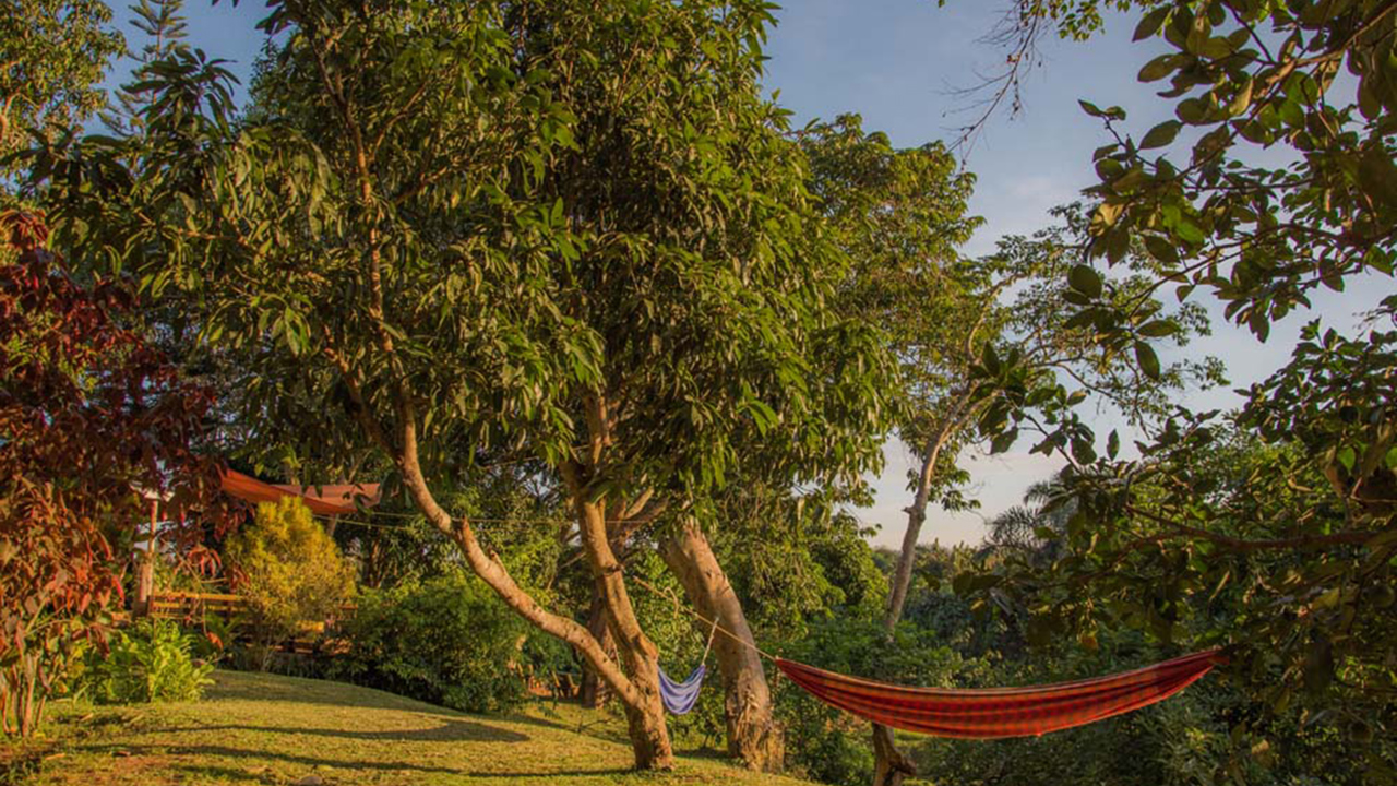 Uganda Entebbe Hotel Viavia 4