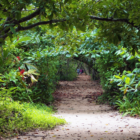 costa rica - cahuita national park_Puerto viejo de talamanca_sti_01